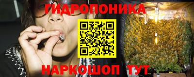гидра Гай