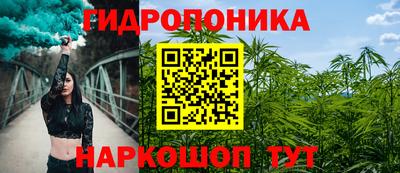 гидра Гай