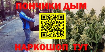 гидра Гай
