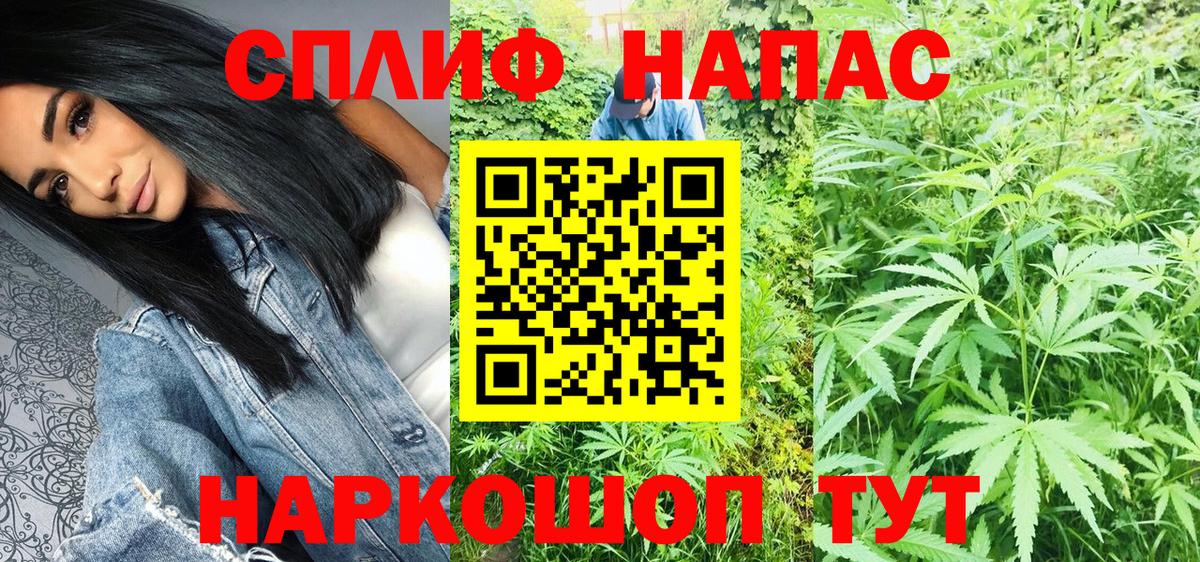 МАРИХУАНА сатива Горячий Ключ